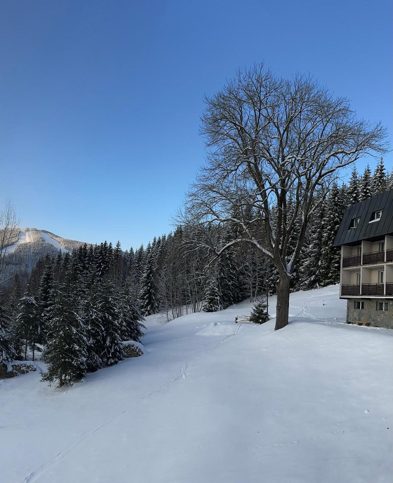 Hotel Horni Pramen Špindlerŭv Mlýn Extérieur photo